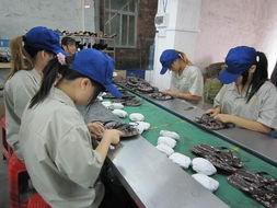 東莞安盈驗(yàn)貨服務(wù) 保潔服務(wù)行業(yè)的品質(zhì)守護(hù)者